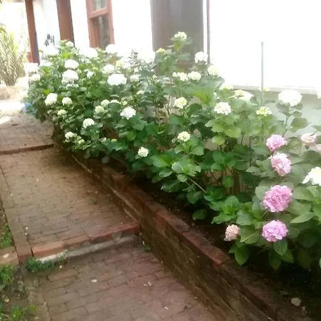 La Mignonne Guemuesluek Appartement Bodrum